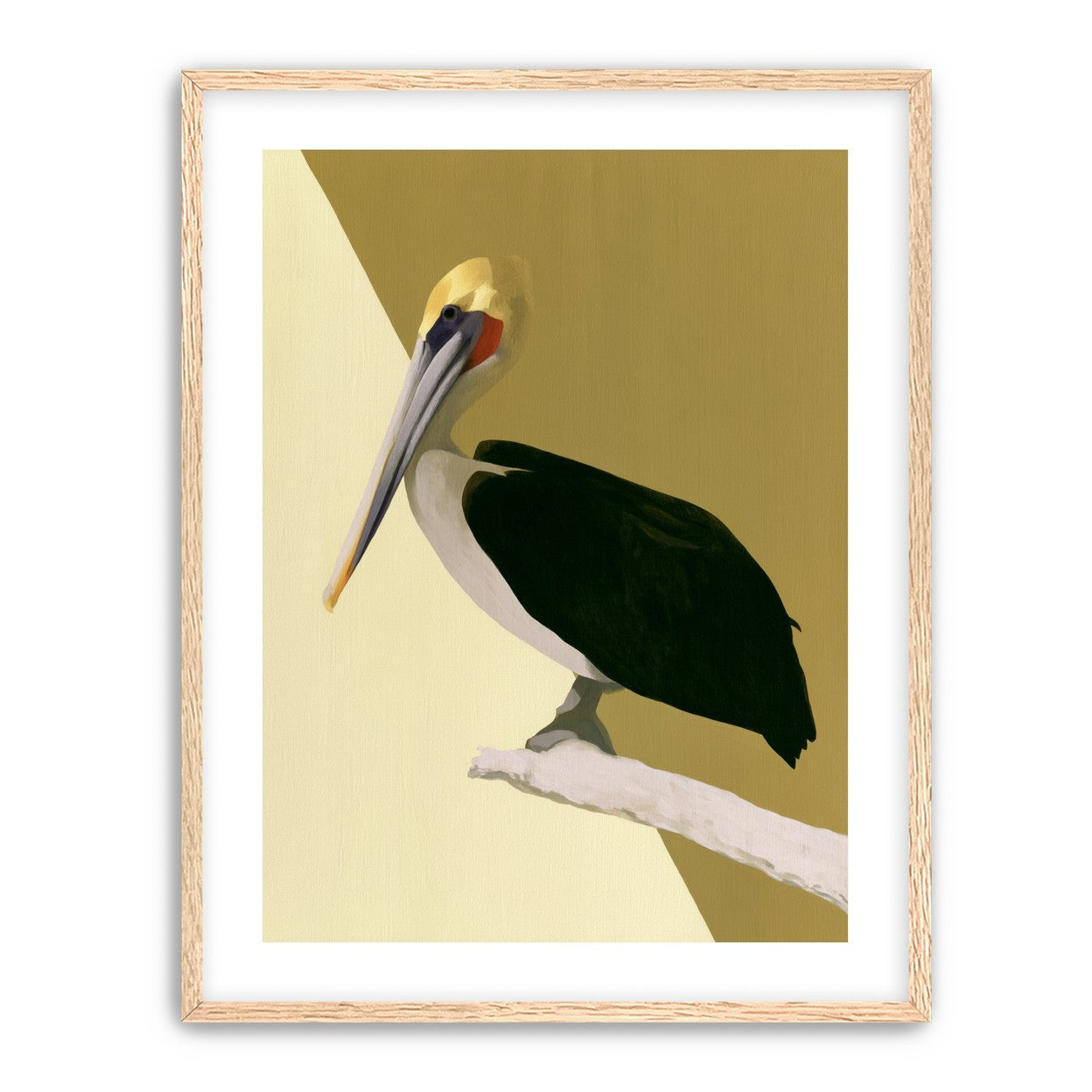 Pelican in quiet balance