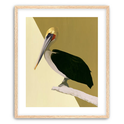 Pelican in quiet balance