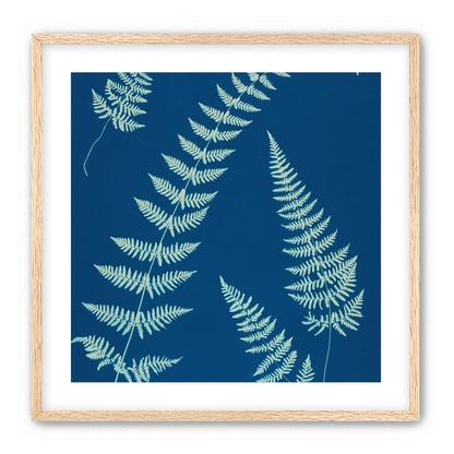 Fern shadows in blue
