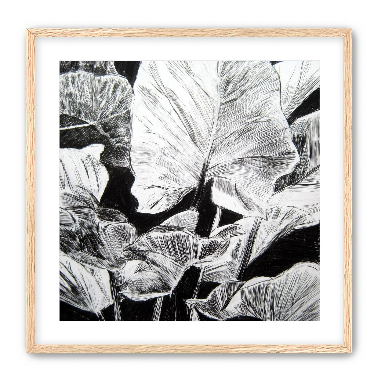 A Cluster of Leaves