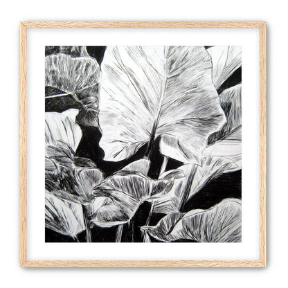 A Cluster of Leaves