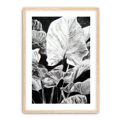 A Cluster of Leaves