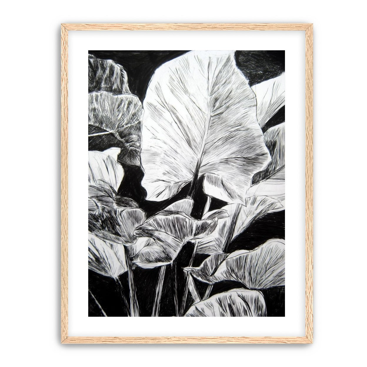 A Cluster of Leaves