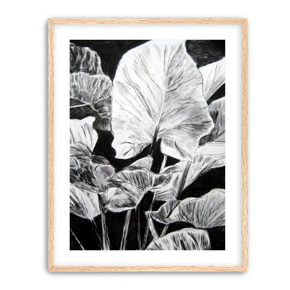 A Cluster of Leaves