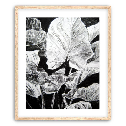 A Cluster of Leaves