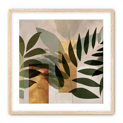 Row of Ferns