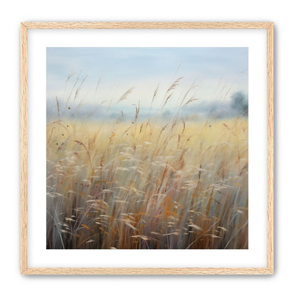 Wheat Fields