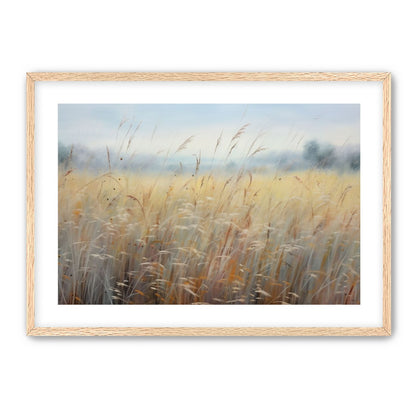 Wheat Fields