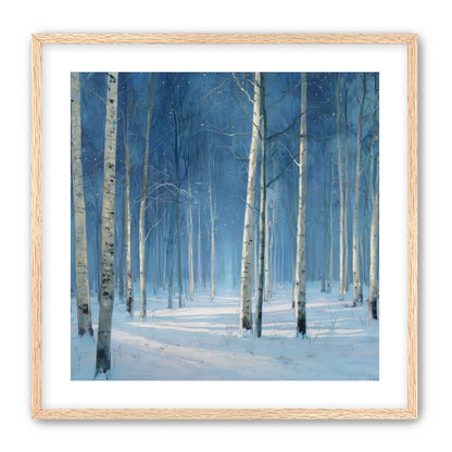 Stillness Between the Trees