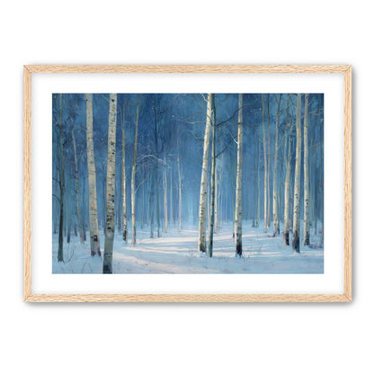 Stillness Between the Trees