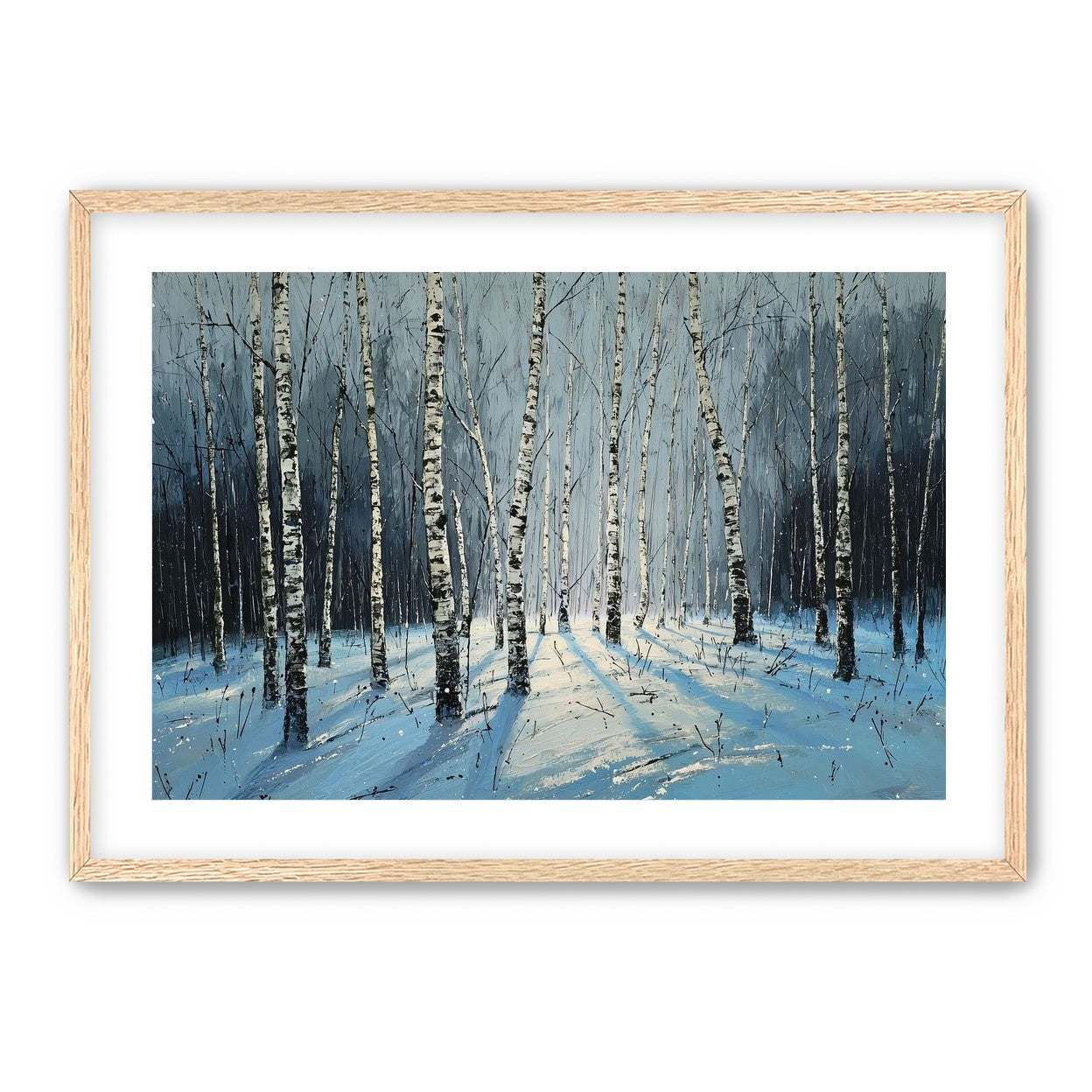Birch Trees in Winter Light