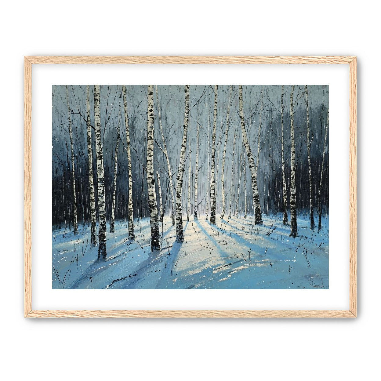 Birch Trees in Winter Light