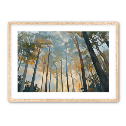 Awakening Woods