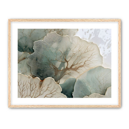 Translucent Leaves with Fine Veins