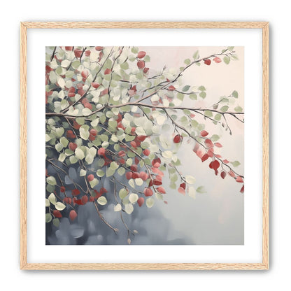 Delicate Branches