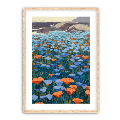 California Poppies
