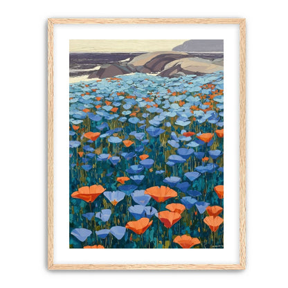 California Poppies
