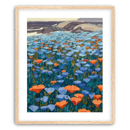 California Poppies
