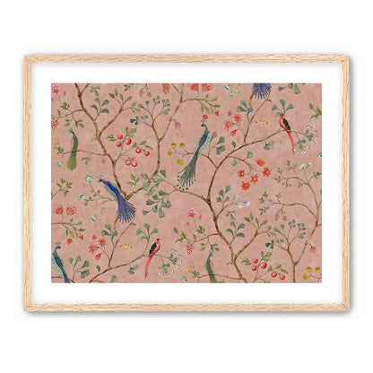 Songbirds, Pink