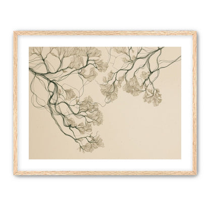 Trees Reduced to Line