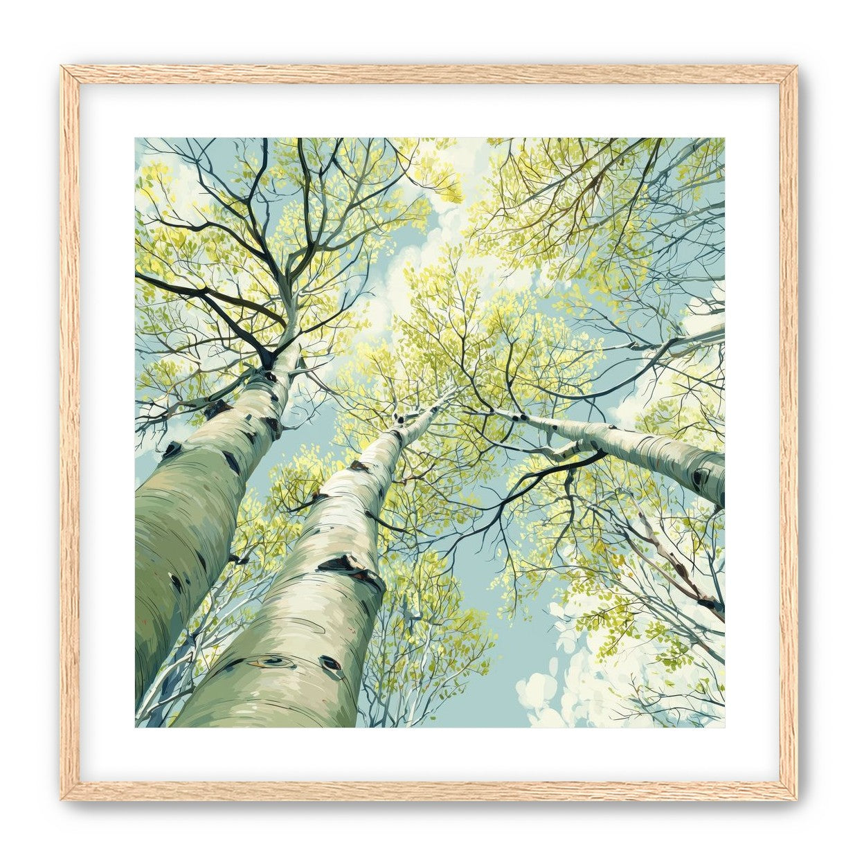 Branches Holding Light
