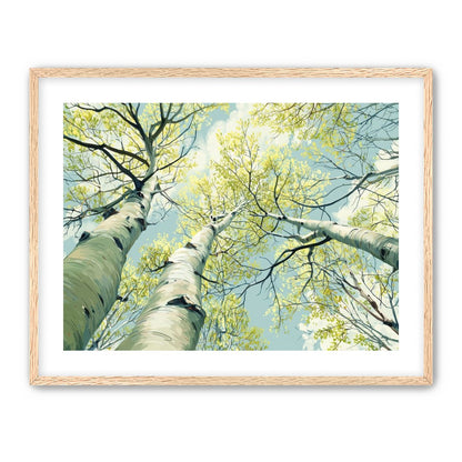 Branches Holding Light