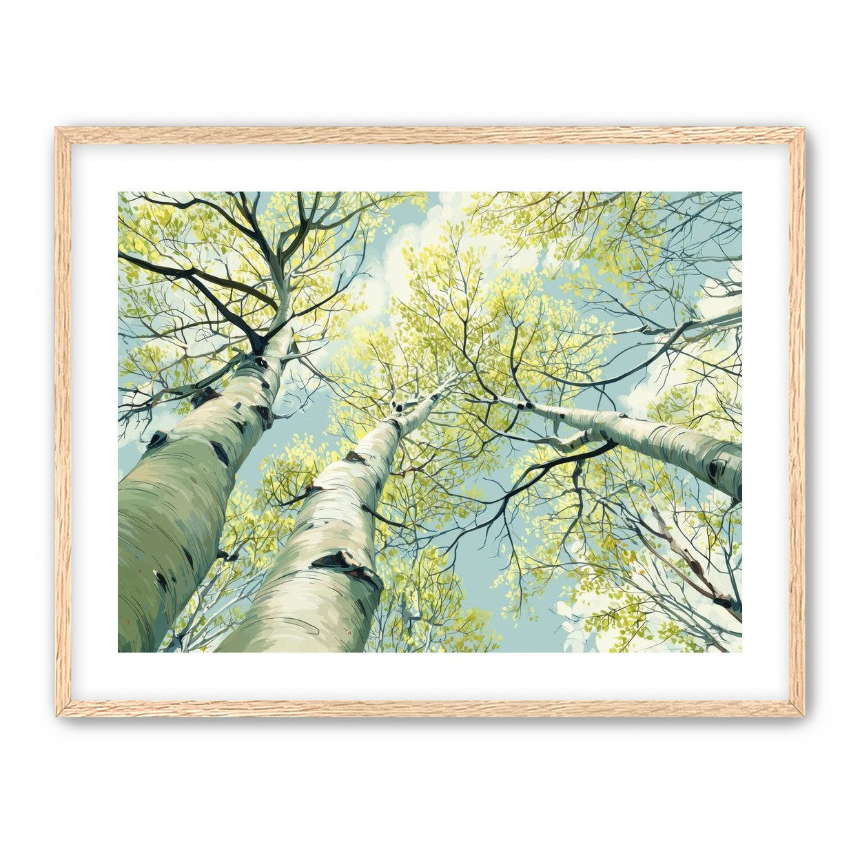 Branches Holding Light