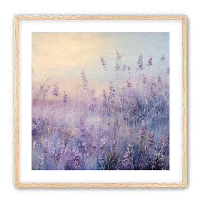 Lavender Fields