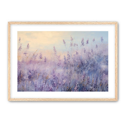 Lavender Fields