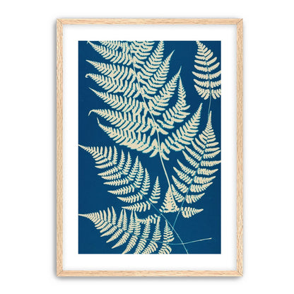 Ferns crossing blue field