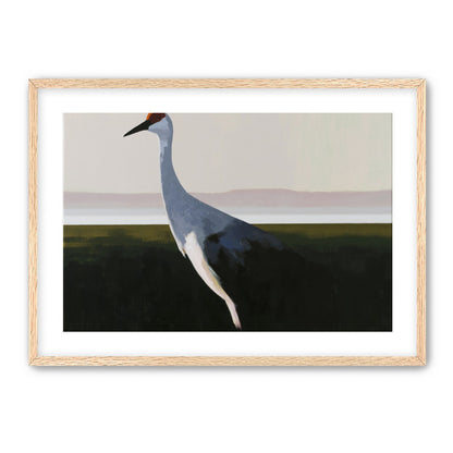 Crane with a red crown