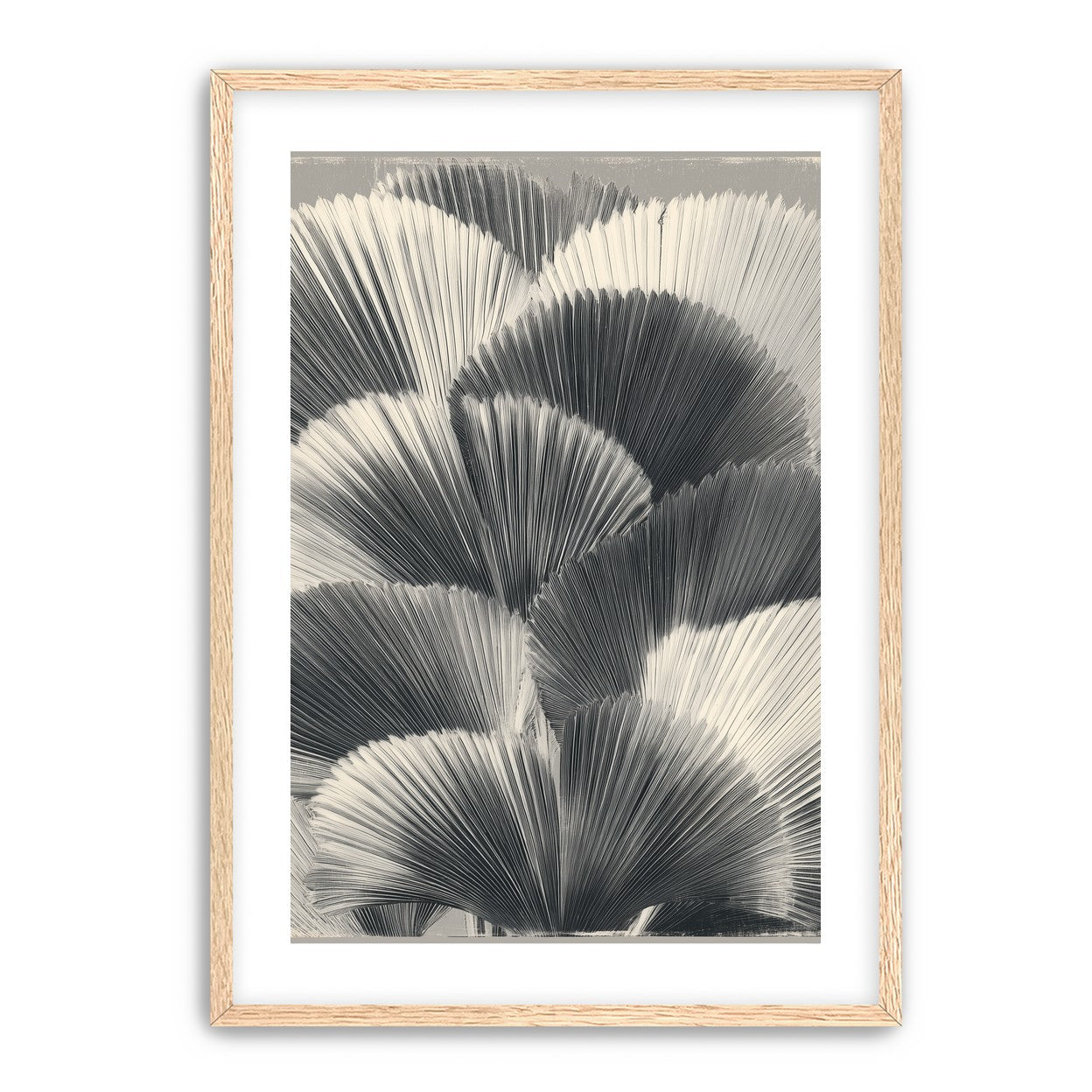 Ginkgo leaves in shadow