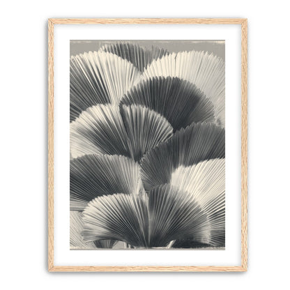 Ginkgo leaves in shadow