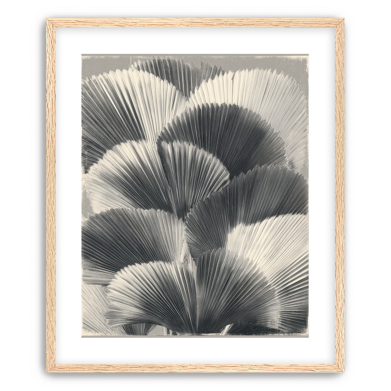 Ginkgo leaves in shadow