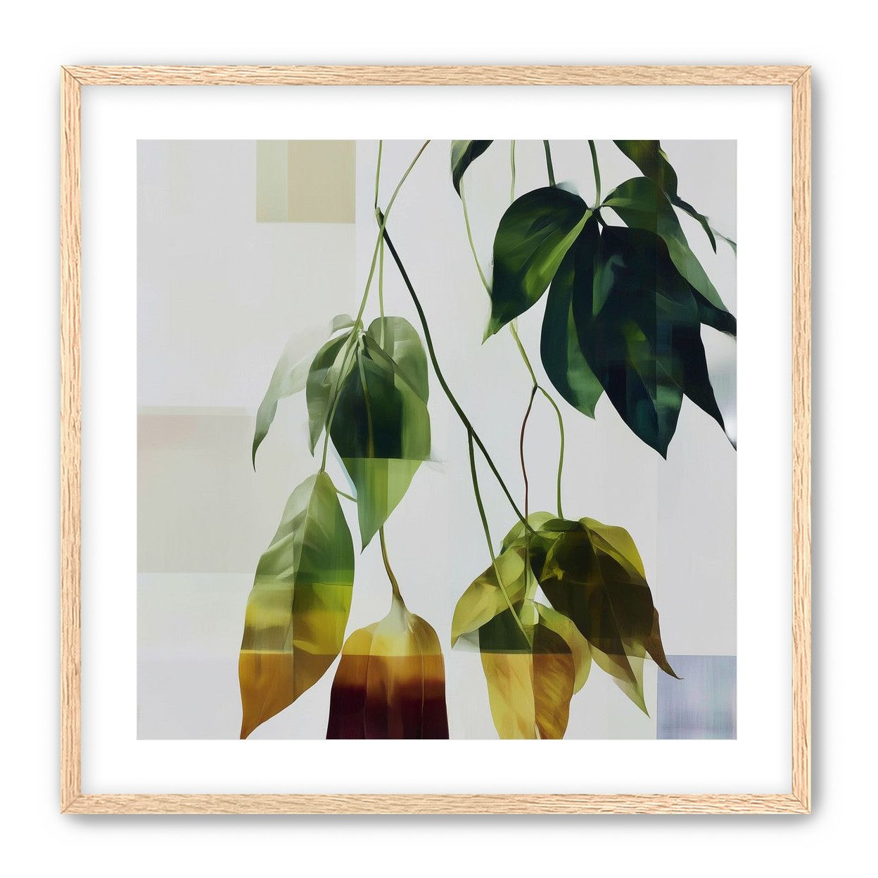 Green fading into amber leaves