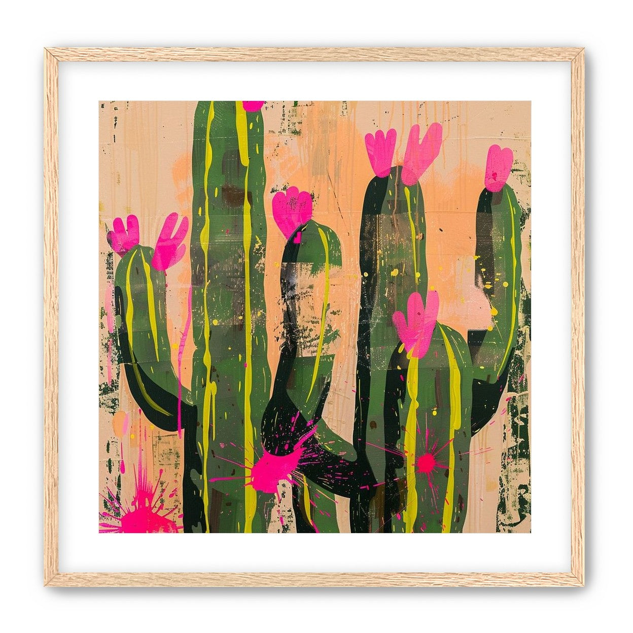 Pink blooms on cacti