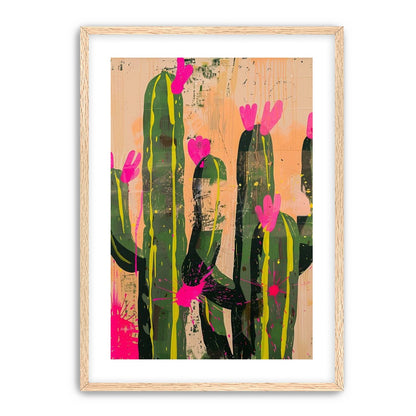 Pink blooms on cacti
