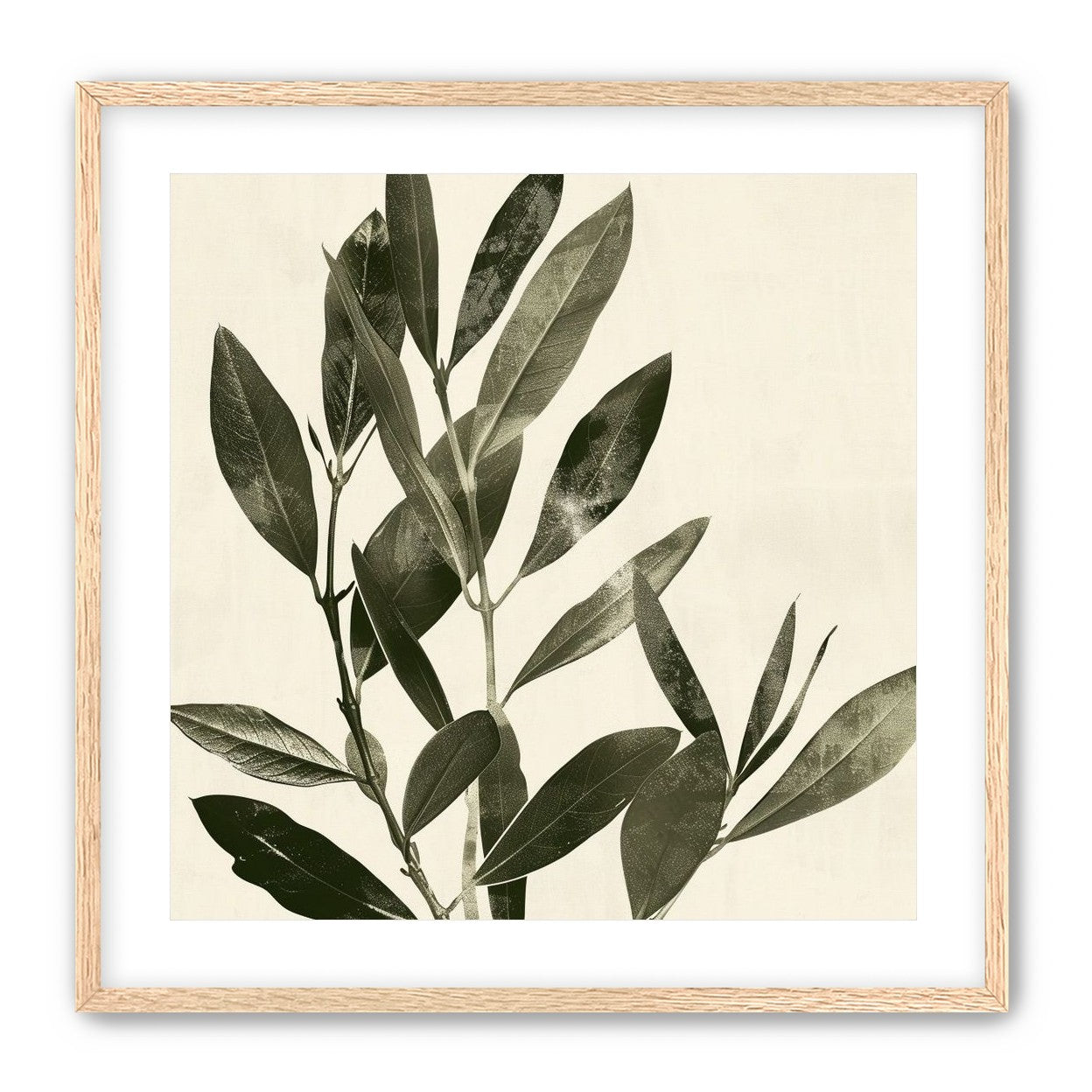 Dark leaves on pale field