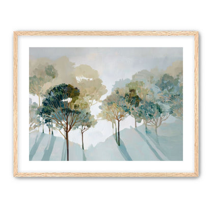 Light Filled Tree Line
