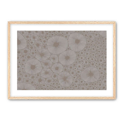 Bold Coral