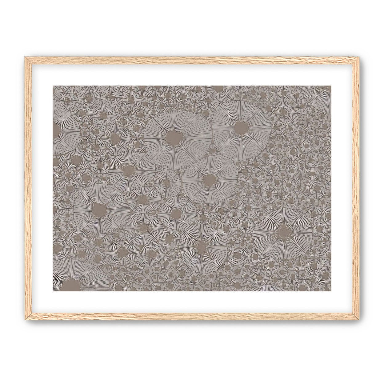 Bold Coral