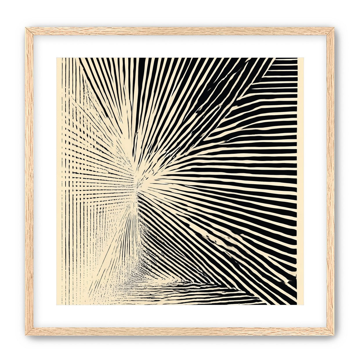 Convergence within black stripes