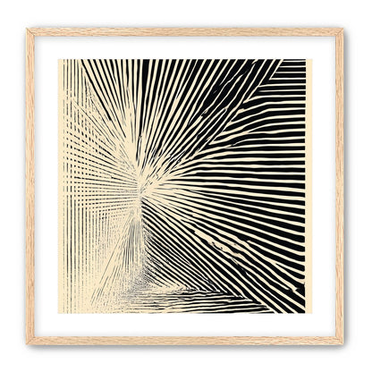 Convergence within black stripes