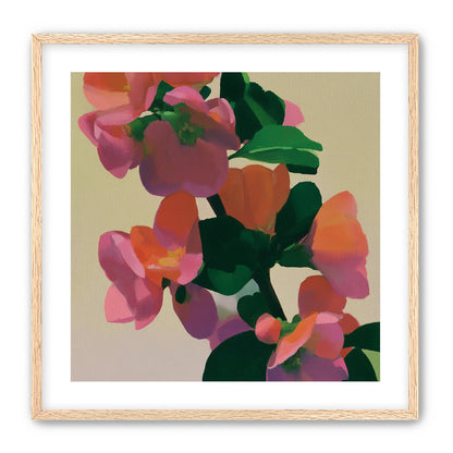 Flowers among dark leaves