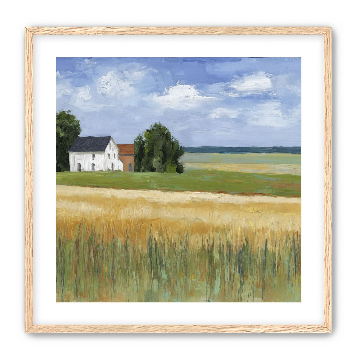 Grain Field Under Sun 
