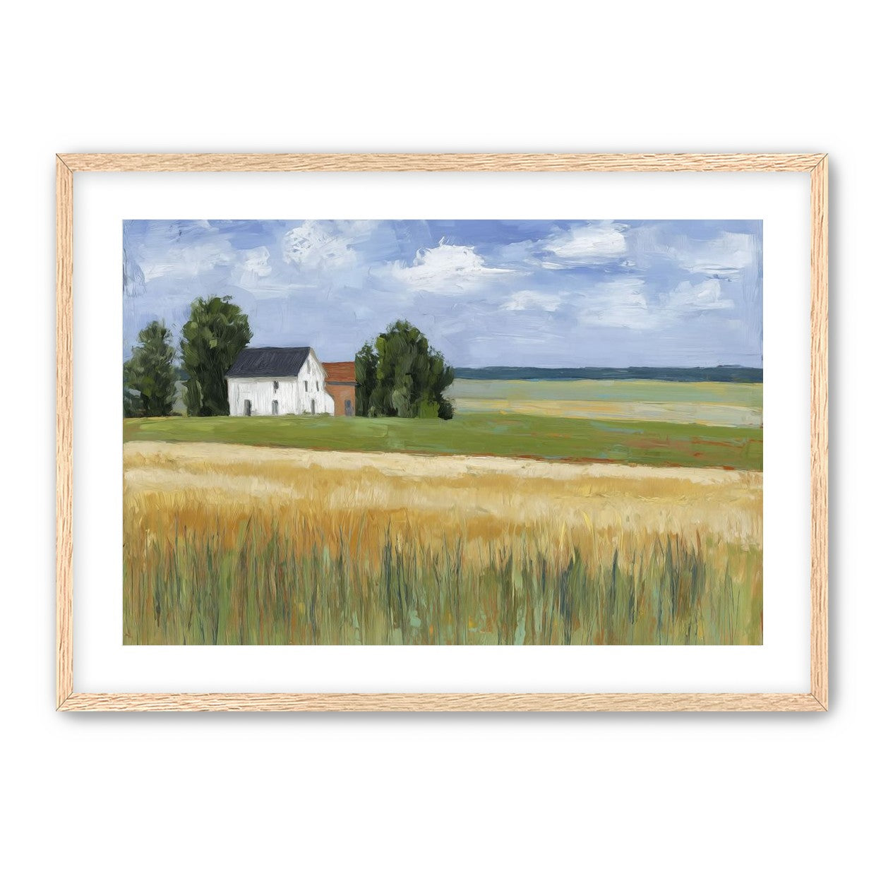Grain Field Under Sun