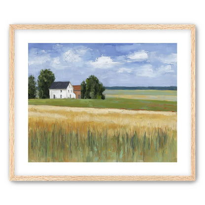 Grain Field Under Sun