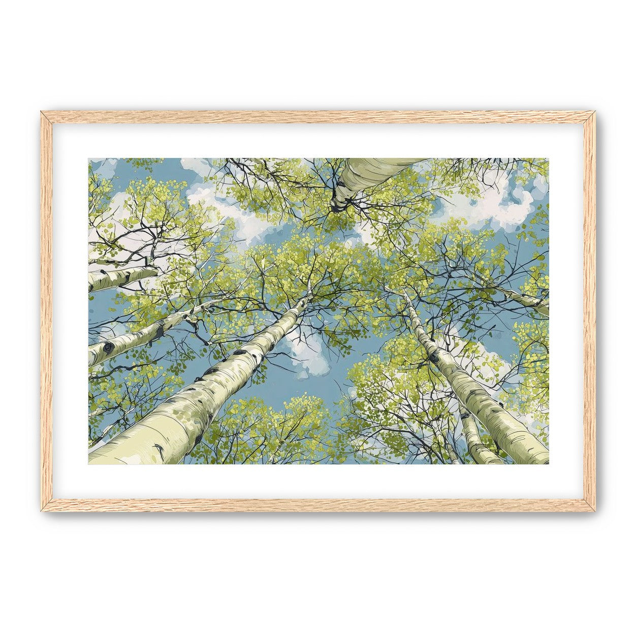 Aspen Canopy I