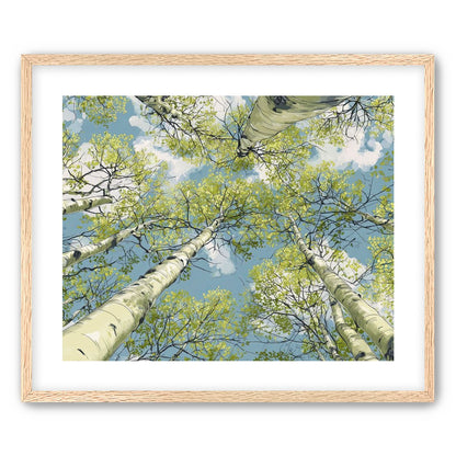 Aspen Canopy I