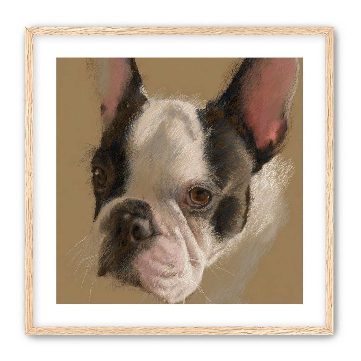 Close portrait with upright ears